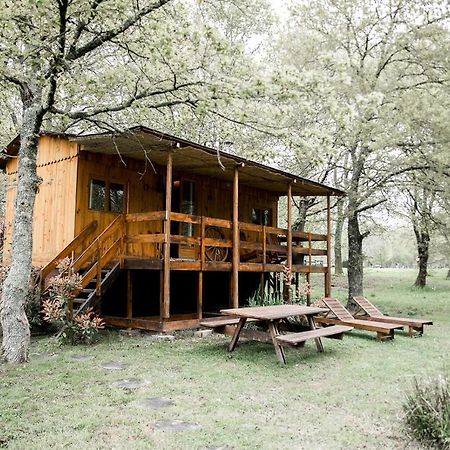 Le Ranch Amadeus Bed & Breakfast Saint-Paul-en-Born ภายนอก รูปภาพ
