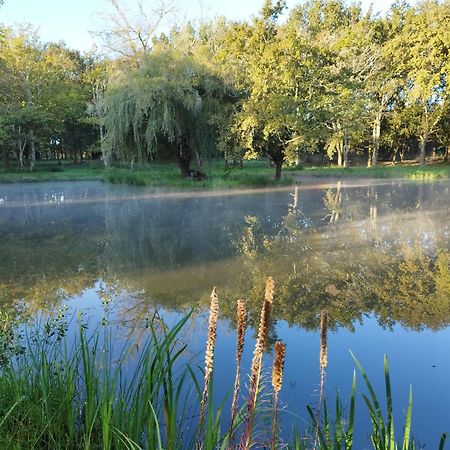Le Ranch Amadeus Bed & Breakfast Saint-Paul-en-Born ภายนอก รูปภาพ