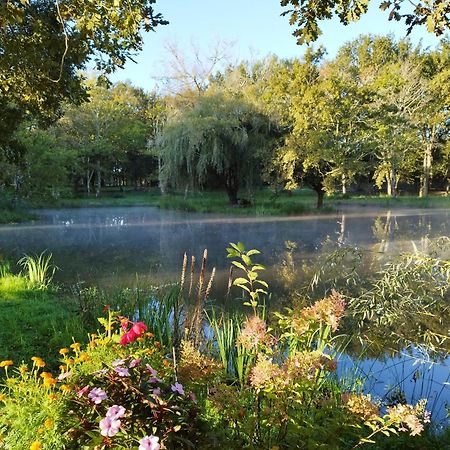 Le Ranch Amadeus Bed & Breakfast Saint-Paul-en-Born ภายนอก รูปภาพ