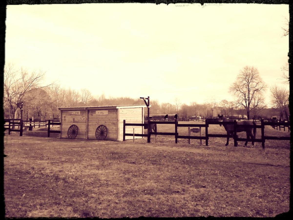 Le Ranch Amadeus Bed & Breakfast Saint-Paul-en-Born ภายนอก รูปภาพ