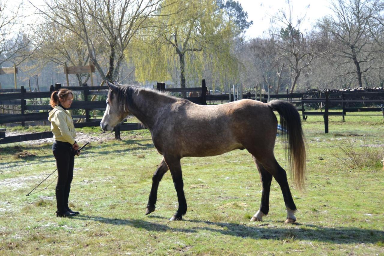 Le Ranch Amadeus Bed & Breakfast Saint-Paul-en-Born ภายนอก รูปภาพ