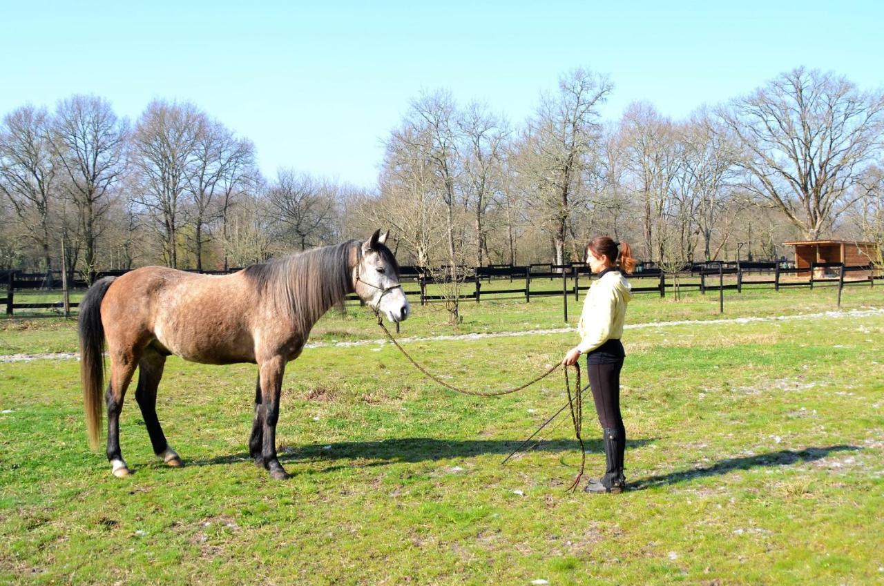 Le Ranch Amadeus Bed & Breakfast Saint-Paul-en-Born ภายนอก รูปภาพ
