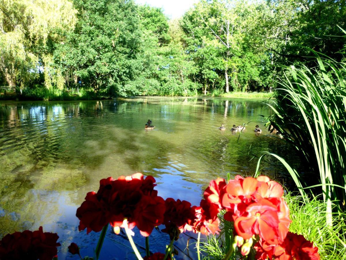 Le Ranch Amadeus Bed & Breakfast Saint-Paul-en-Born ภายนอก รูปภาพ