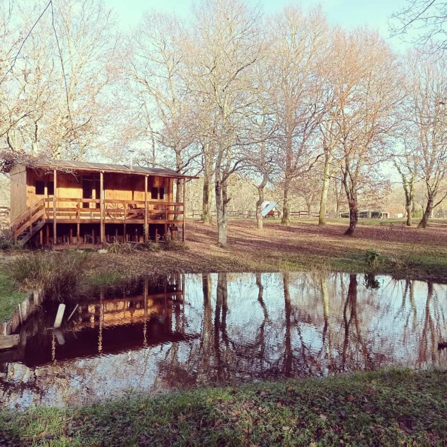 Le Ranch Amadeus Bed & Breakfast Saint-Paul-en-Born ภายนอก รูปภาพ