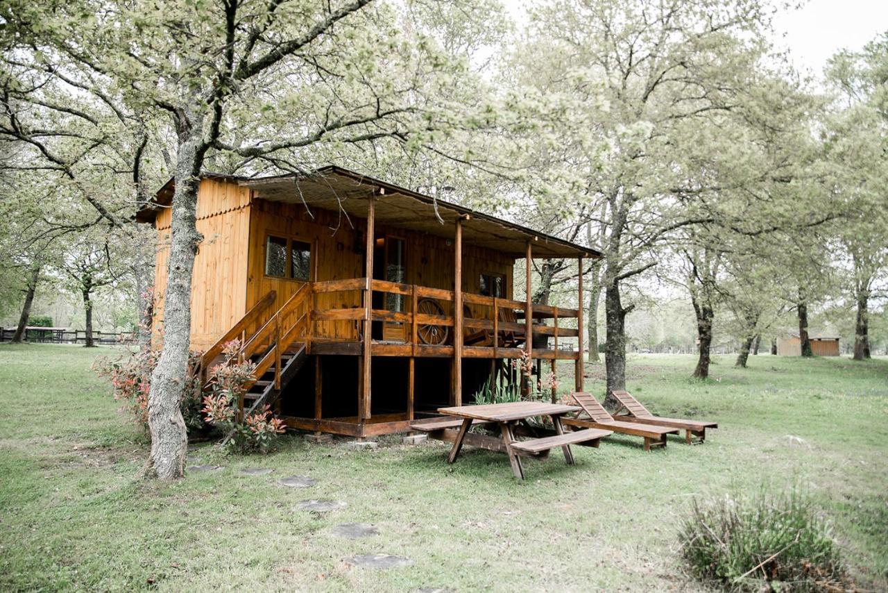 Le Ranch Amadeus Bed & Breakfast Saint-Paul-en-Born ภายนอก รูปภาพ