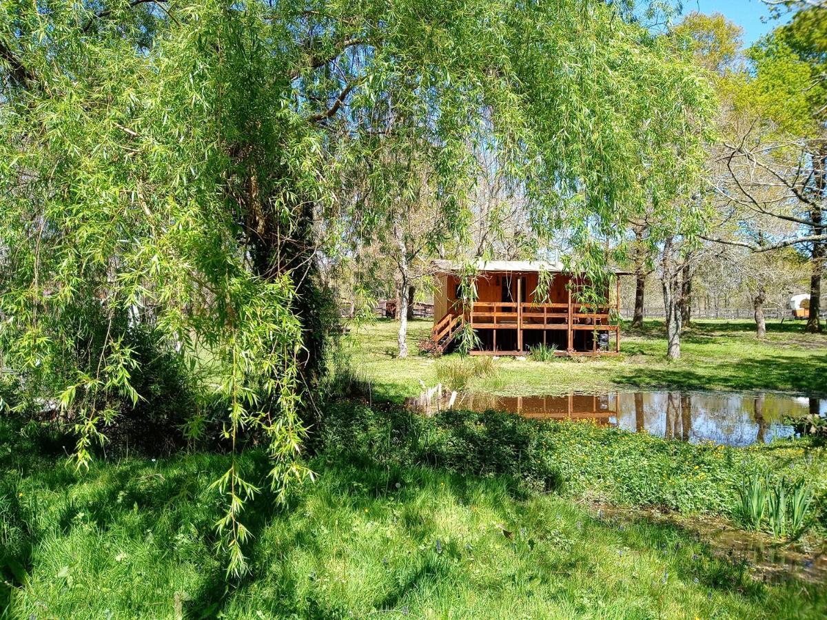 Le Ranch Amadeus Bed & Breakfast Saint-Paul-en-Born ภายนอก รูปภาพ