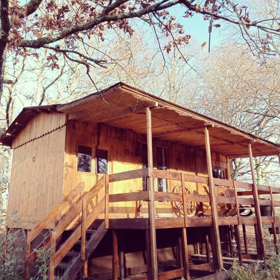 Le Ranch Amadeus Bed & Breakfast Saint-Paul-en-Born ภายนอก รูปภาพ