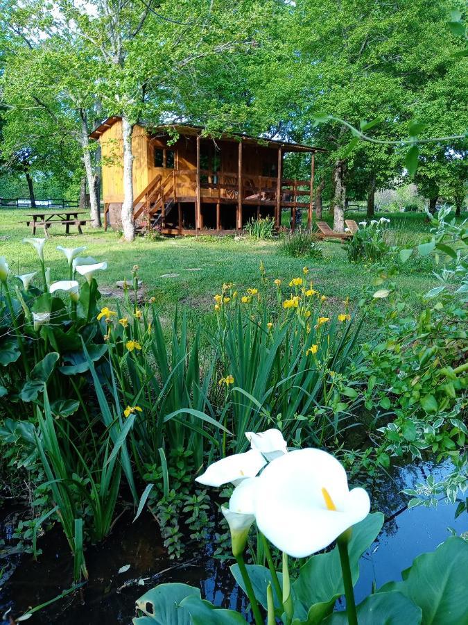 Le Ranch Amadeus Bed & Breakfast Saint-Paul-en-Born ภายนอก รูปภาพ