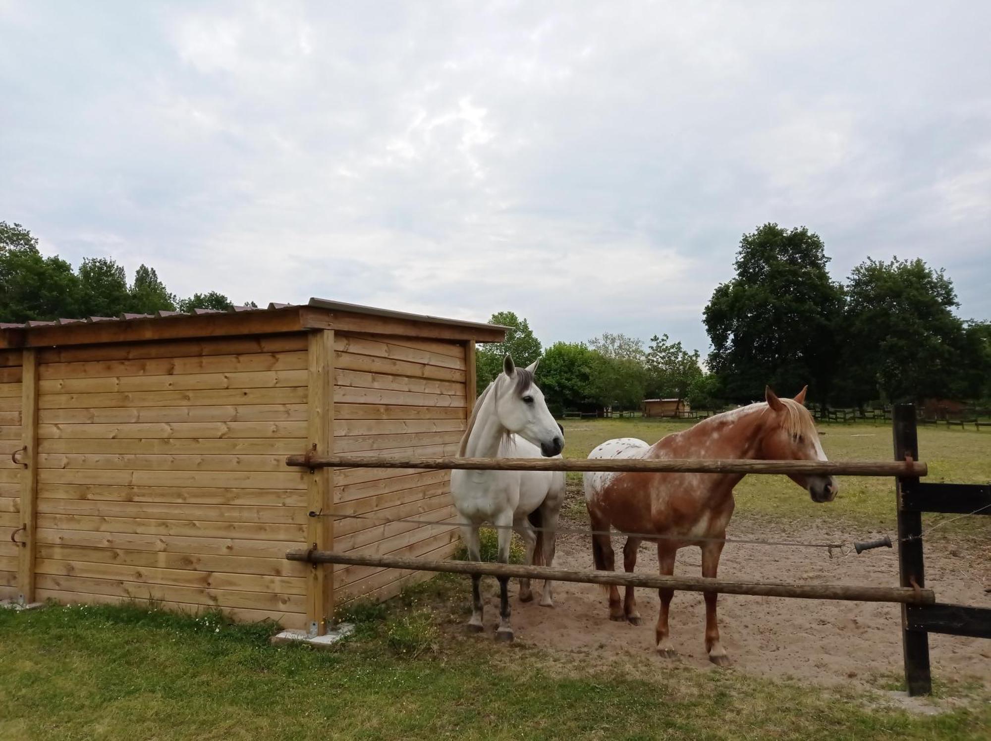 Le Ranch Amadeus Bed & Breakfast Saint-Paul-en-Born ภายนอก รูปภาพ