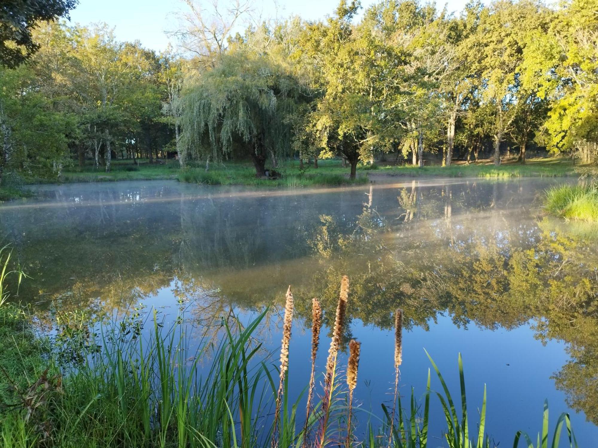 Le Ranch Amadeus Bed & Breakfast Saint-Paul-en-Born ภายนอก รูปภาพ