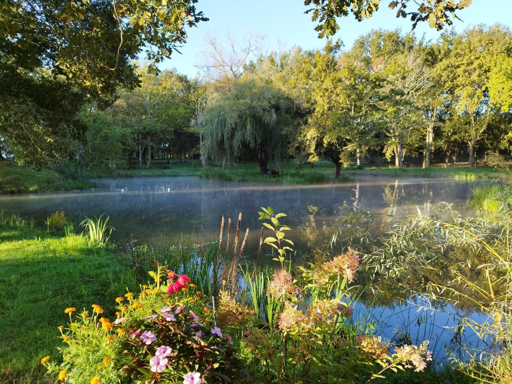 Le Ranch Amadeus Bed & Breakfast Saint-Paul-en-Born ภายนอก รูปภาพ