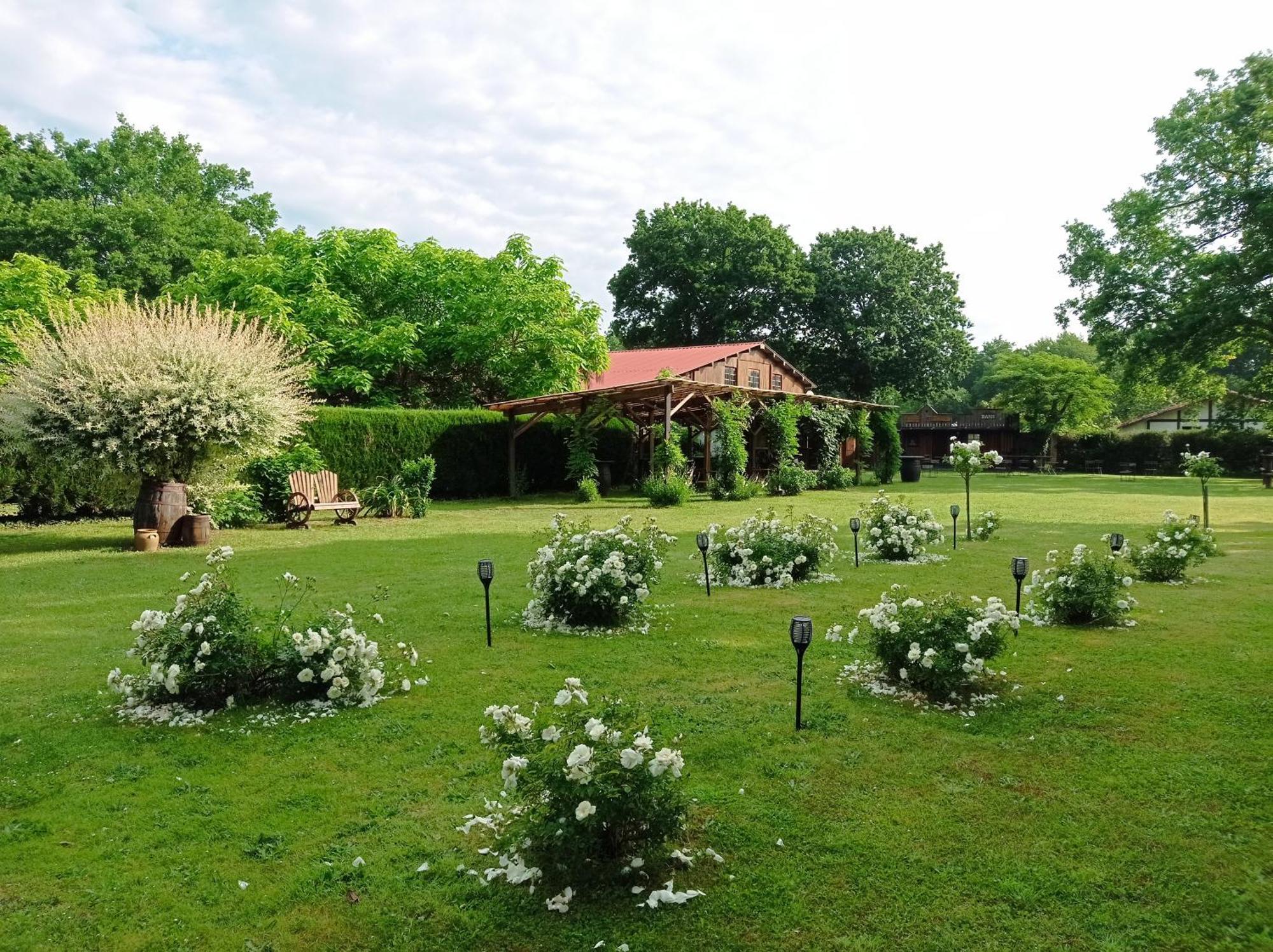 Le Ranch Amadeus Bed & Breakfast Saint-Paul-en-Born ภายนอก รูปภาพ